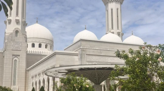 ホワイトモスク_マレーシアのタージ・マハル